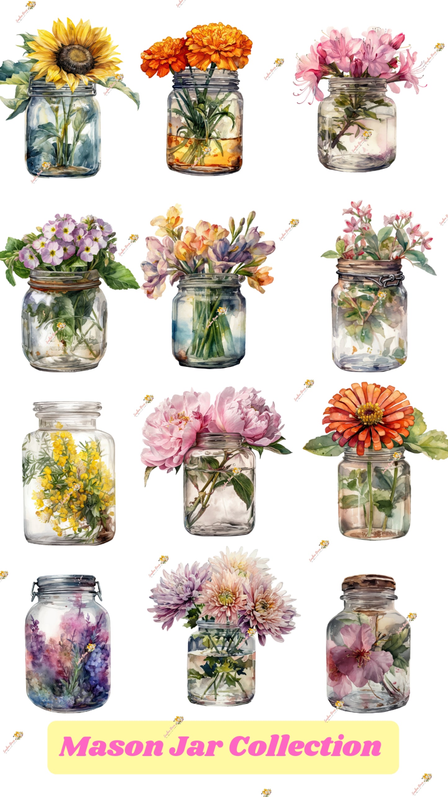 Manson Jar Collection