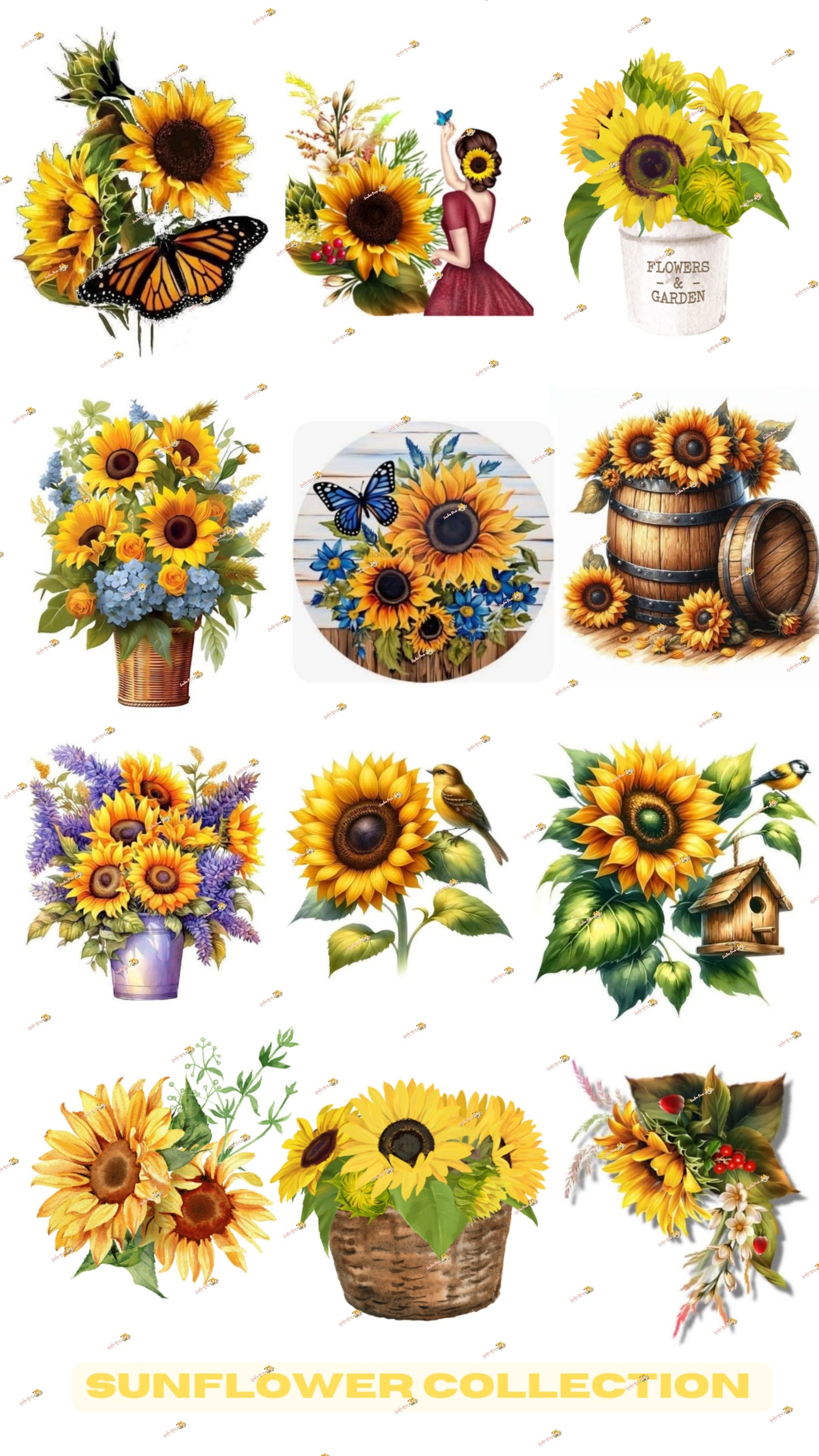 Sunflower Collection Burgundy