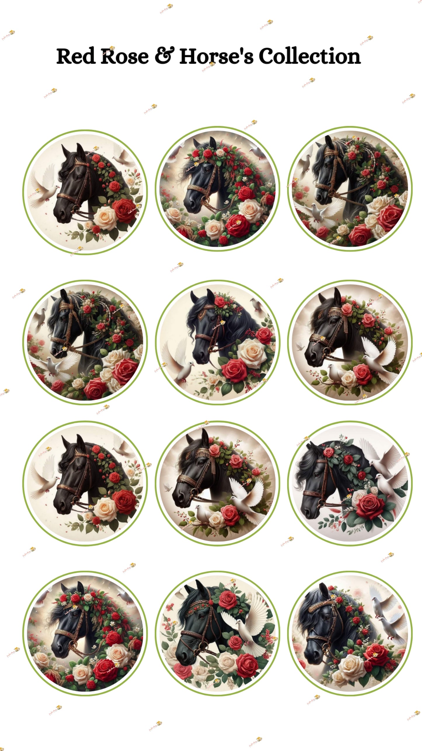 Red Rose & Horse's Collection