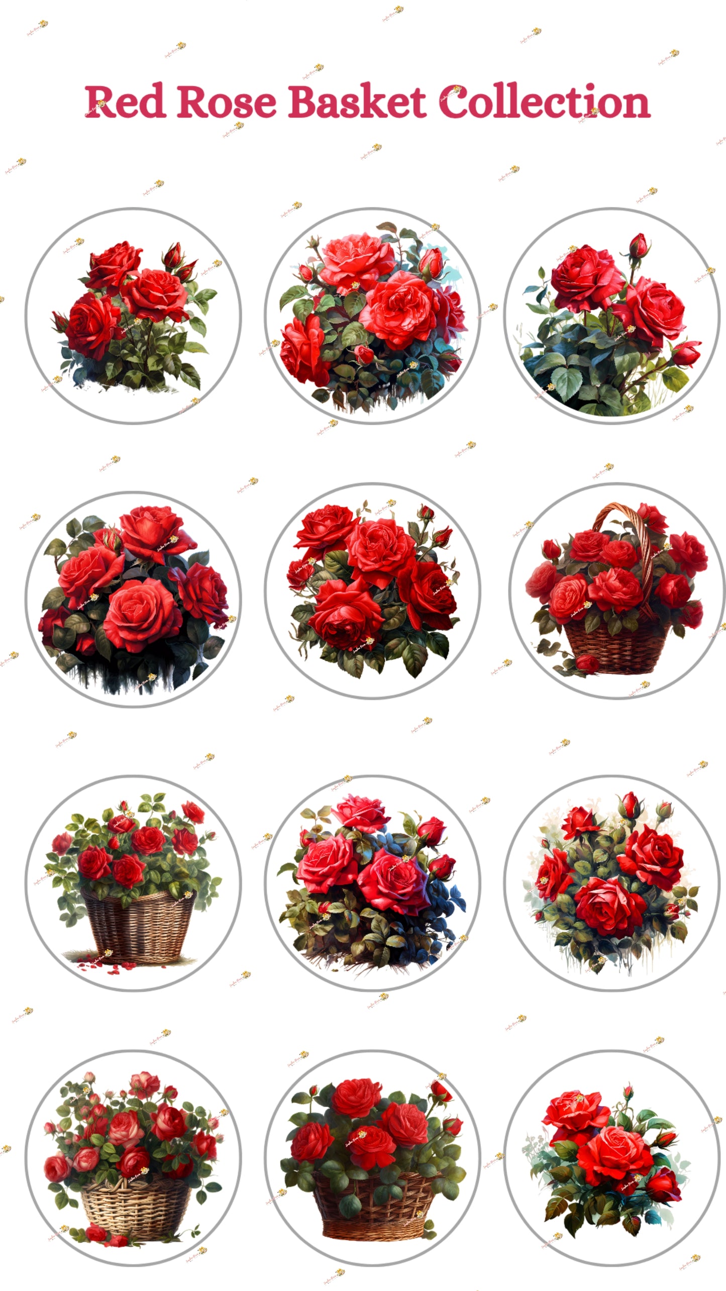 Red Rose Basket Collection