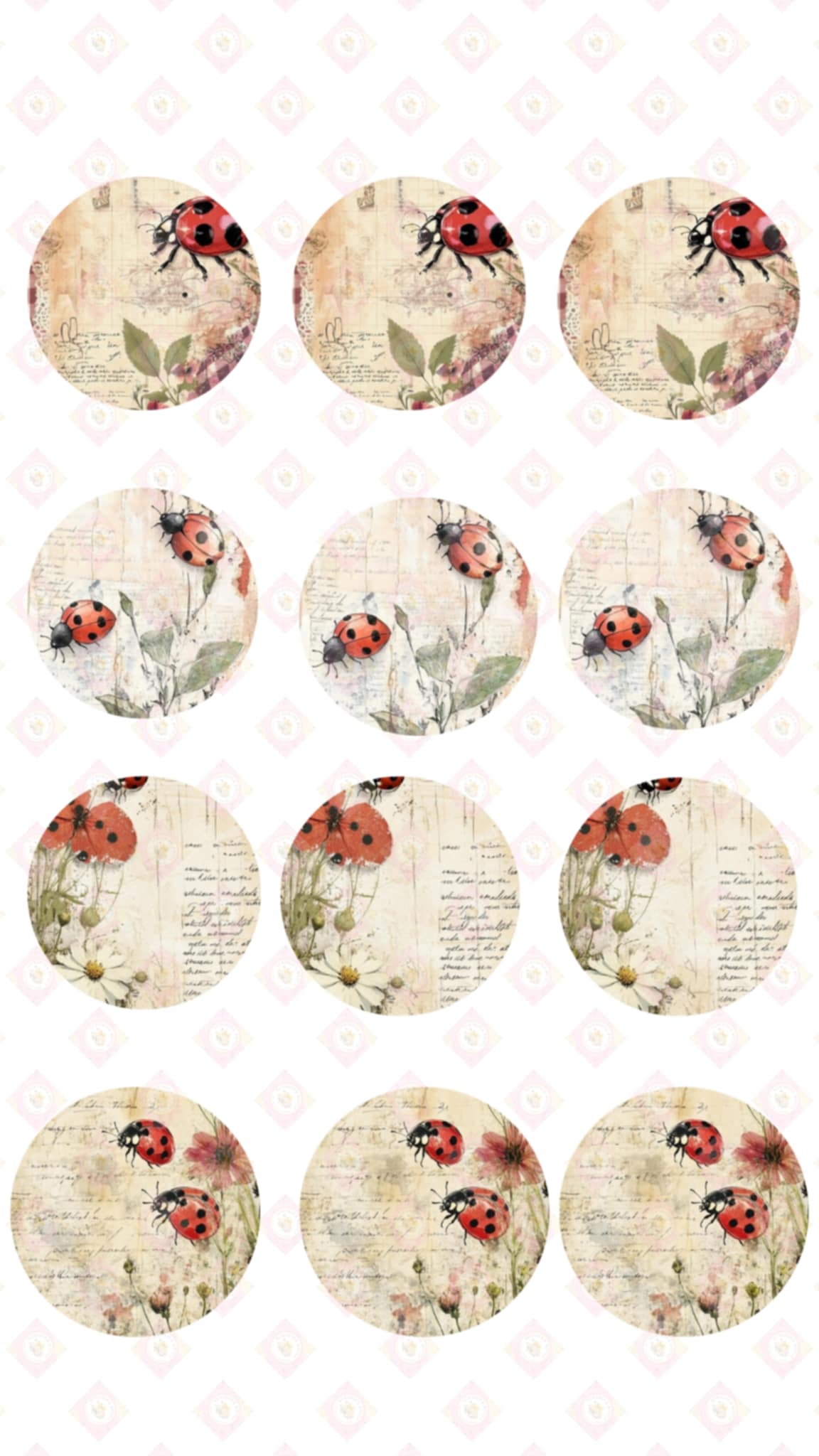 Ladybug Collection