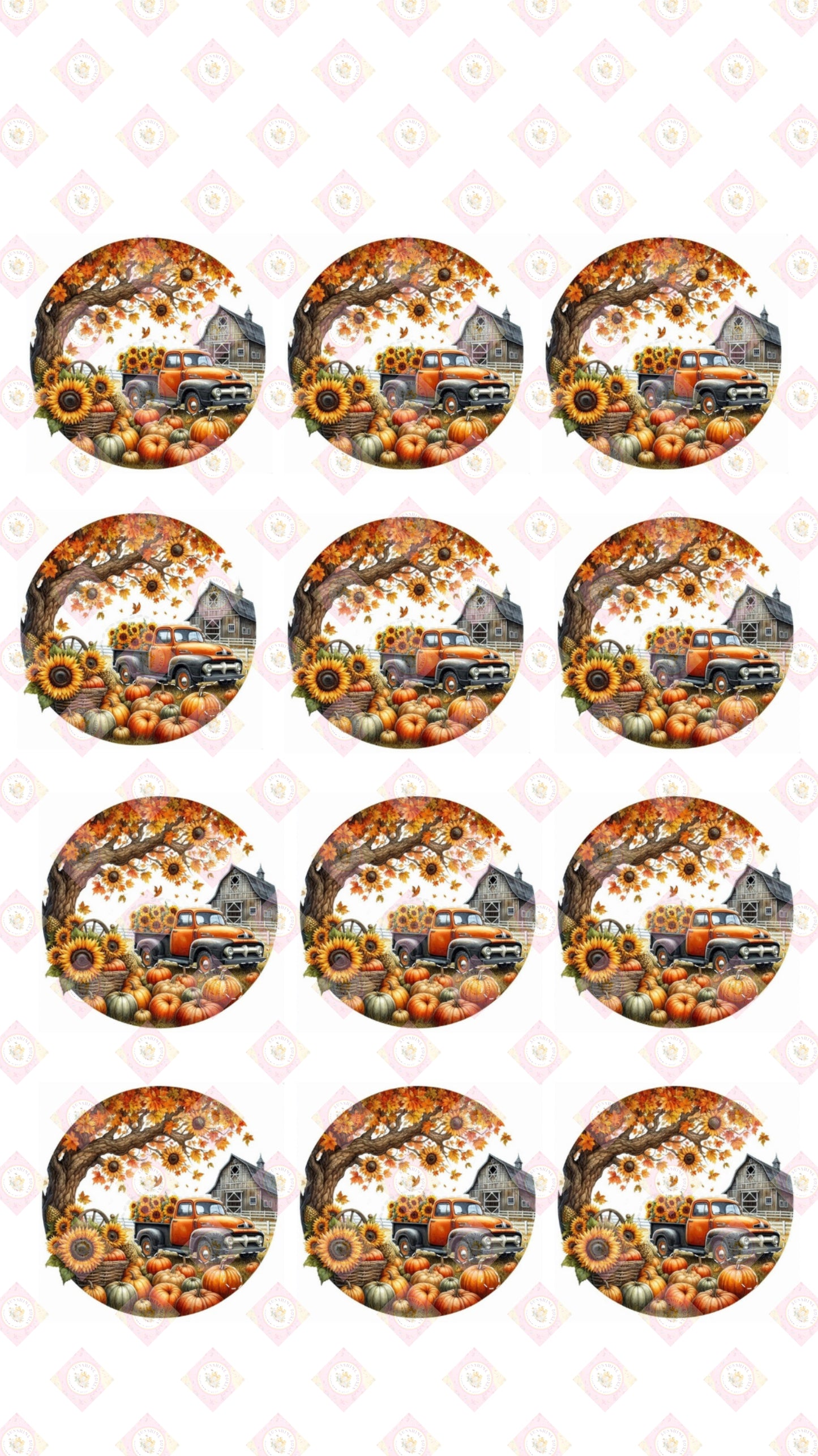 Sunflower Harvest Collection