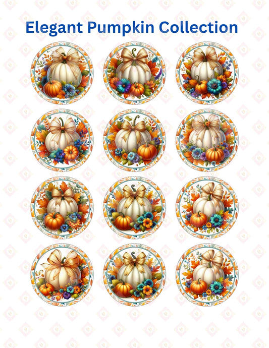 elegant pumkin collection 2