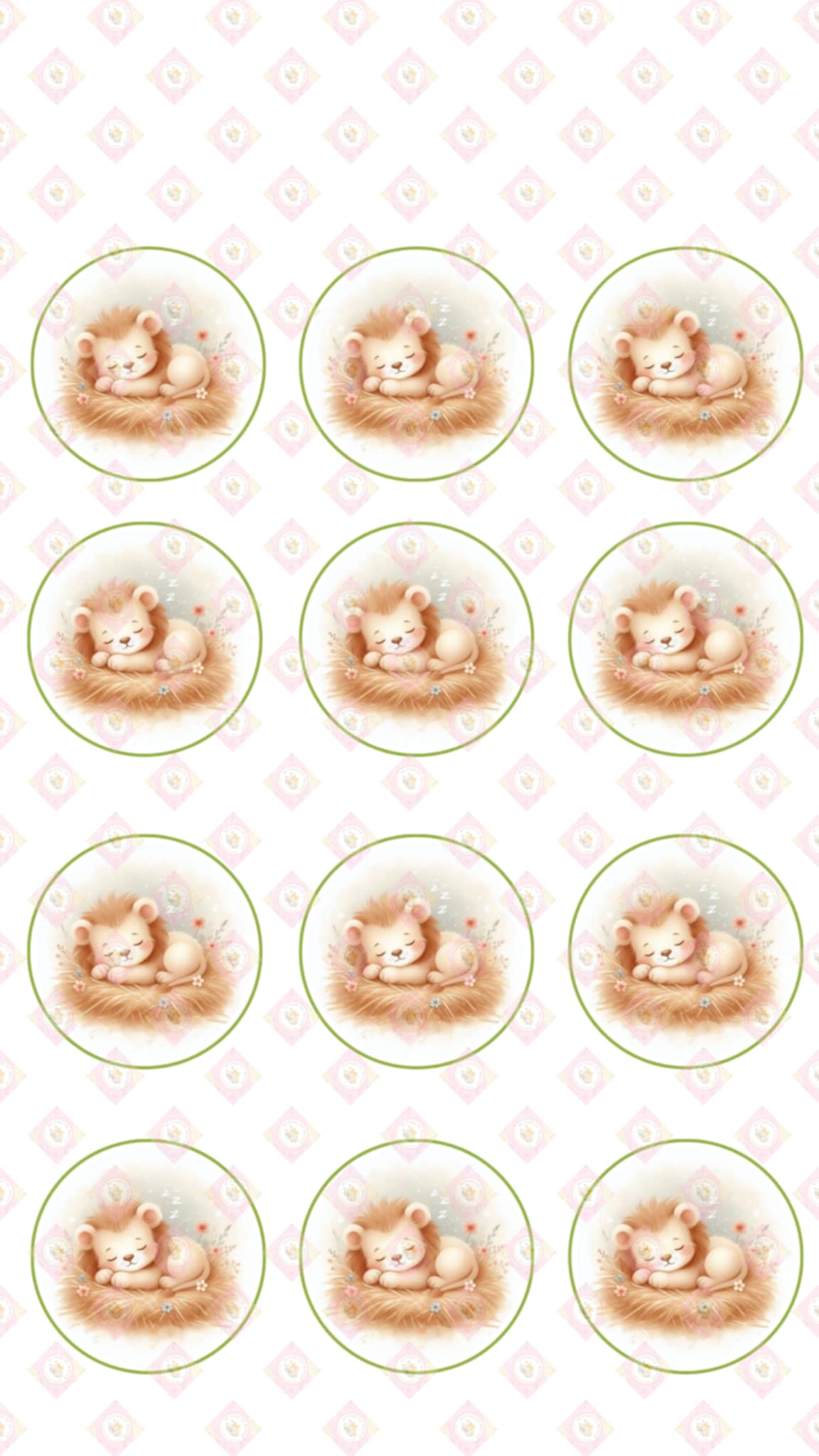 Baby Lion Collection