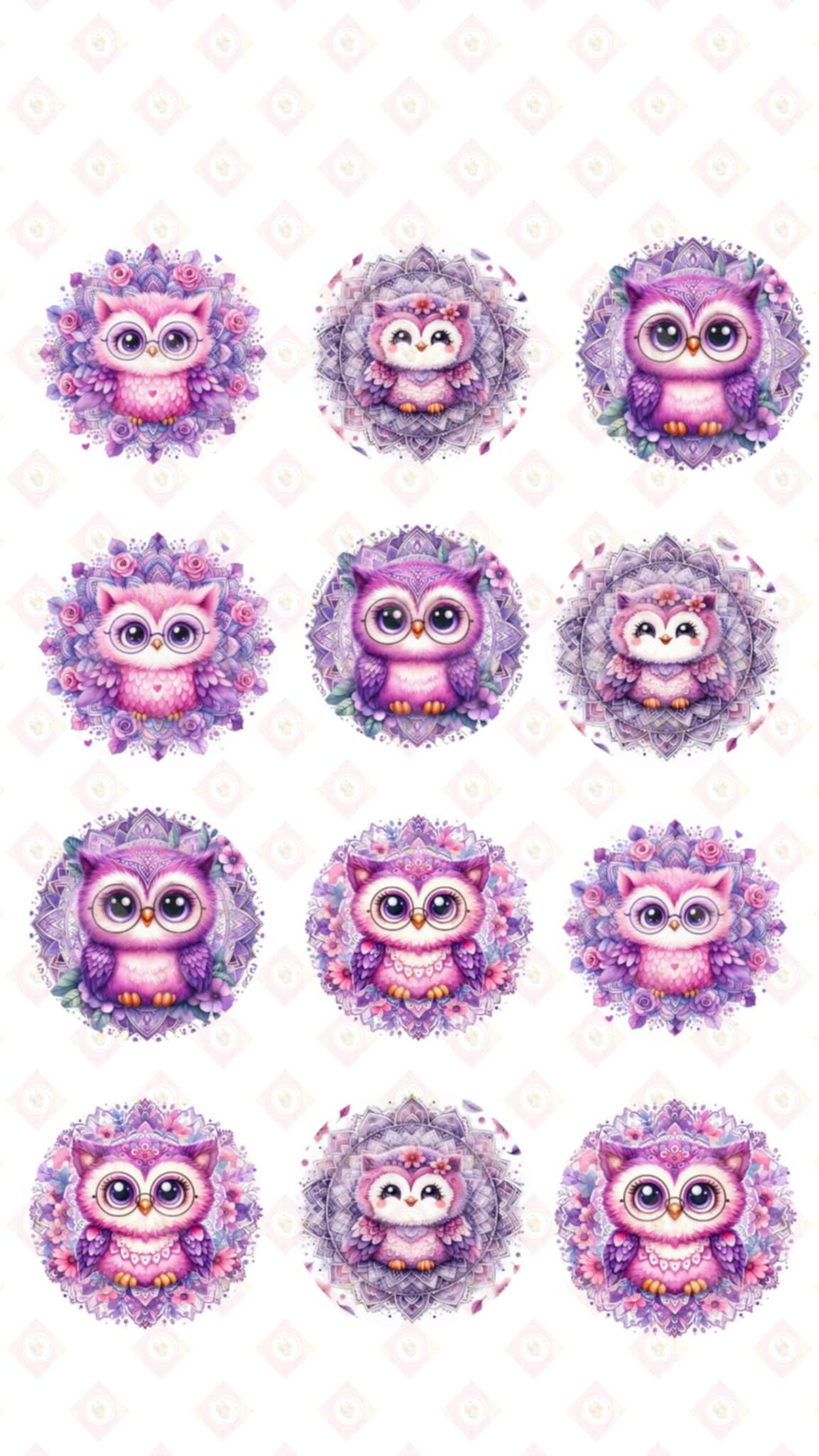 Zoo Babies Collection