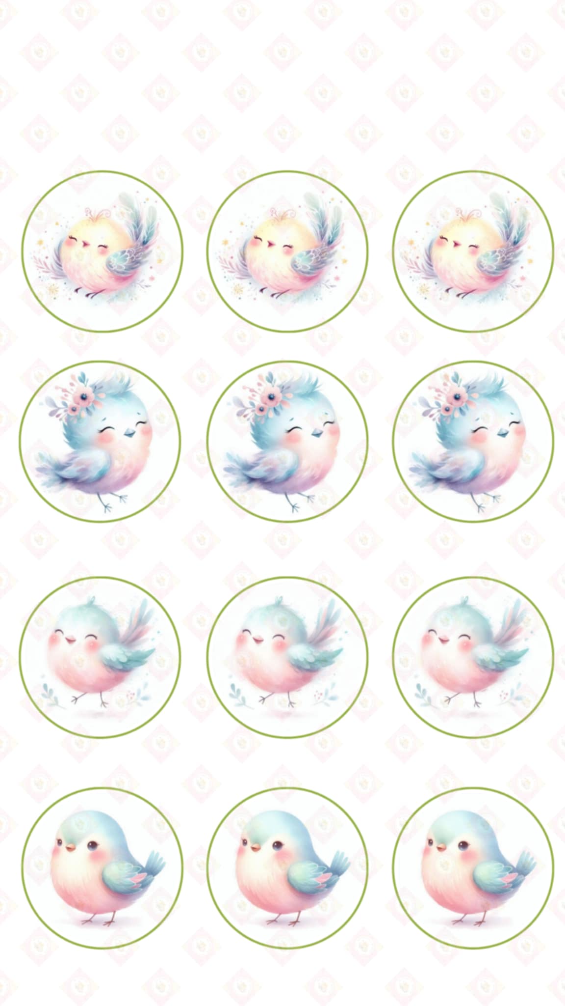 Little Bird Collection