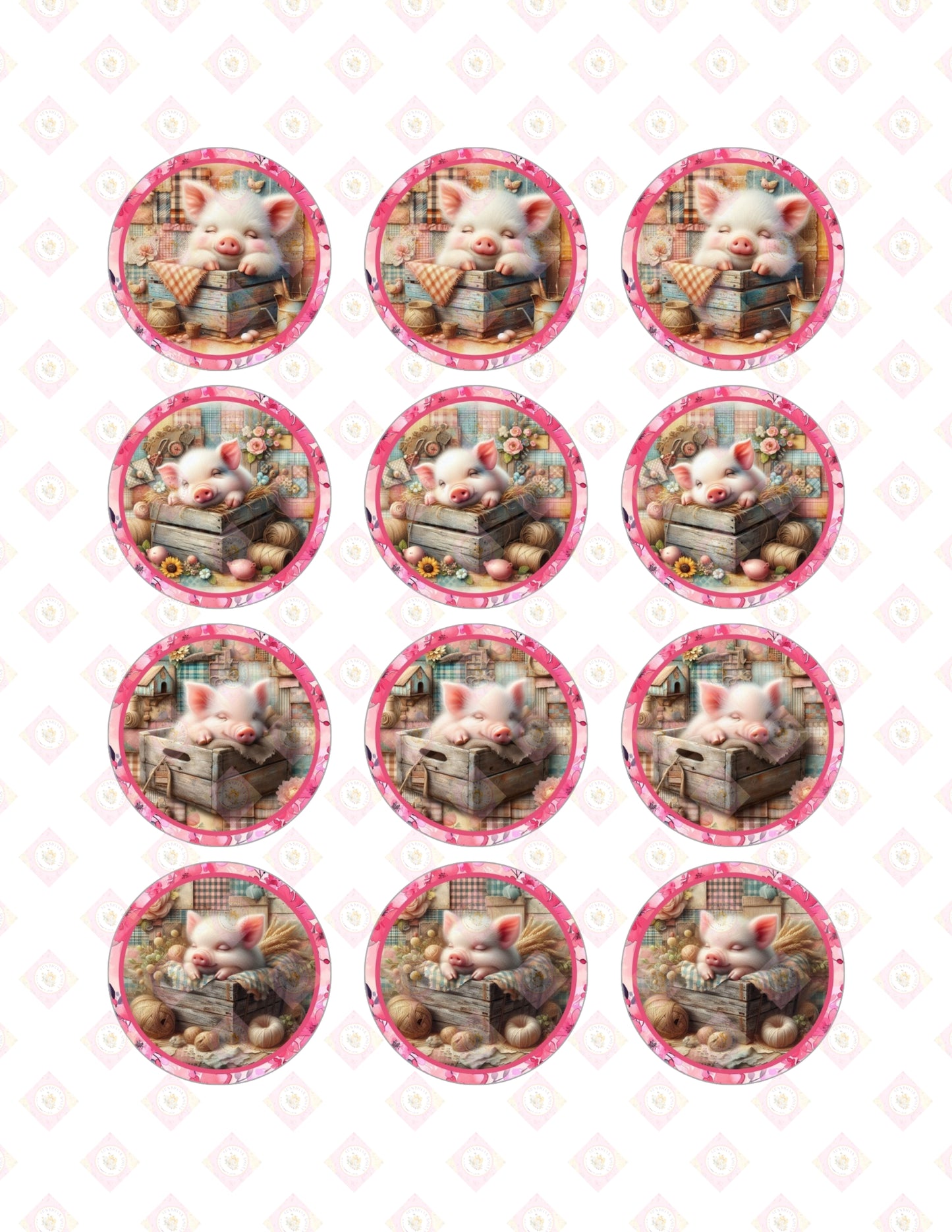 Piggy Collection