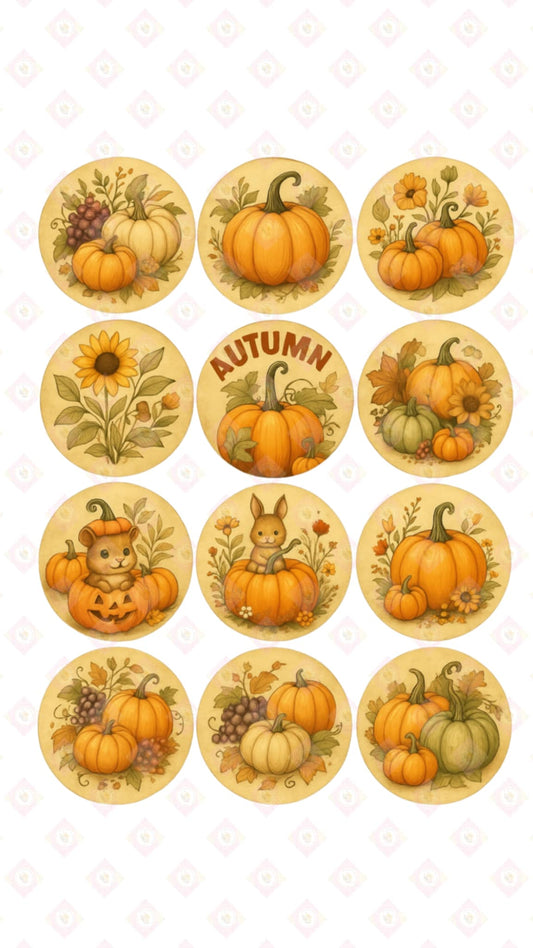 Autumn Pumpkin Collection