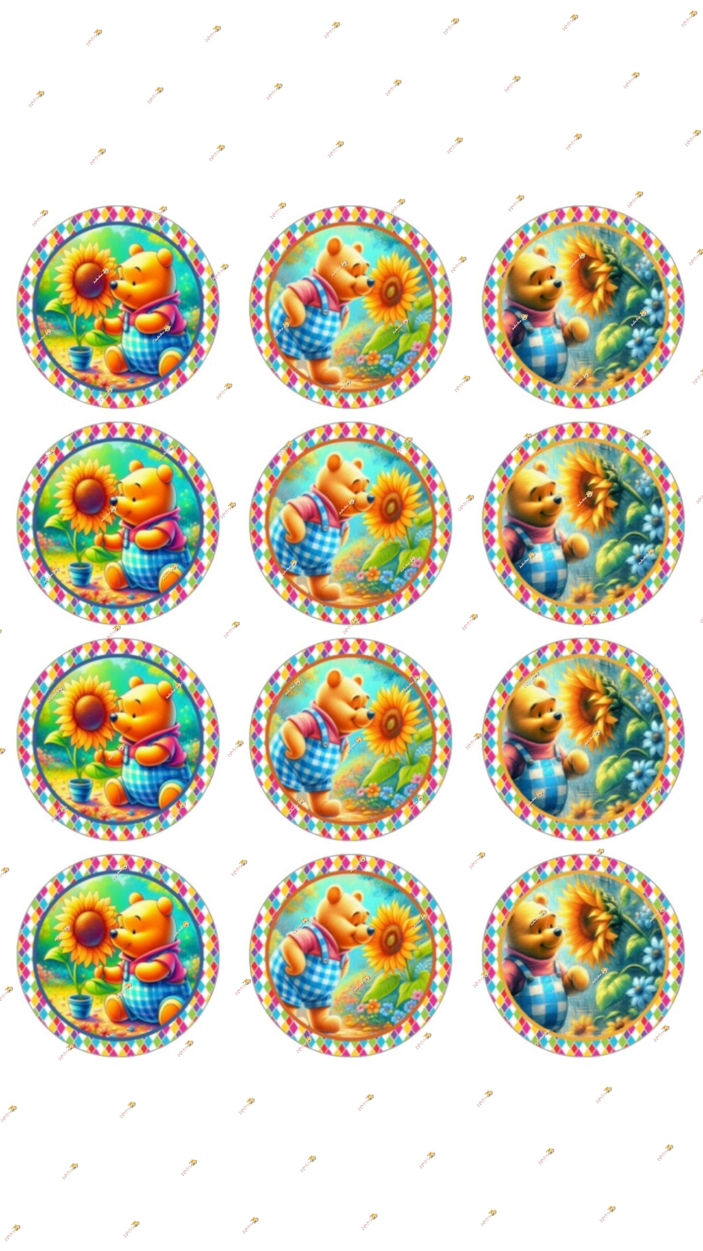 Teddy Bear Collections