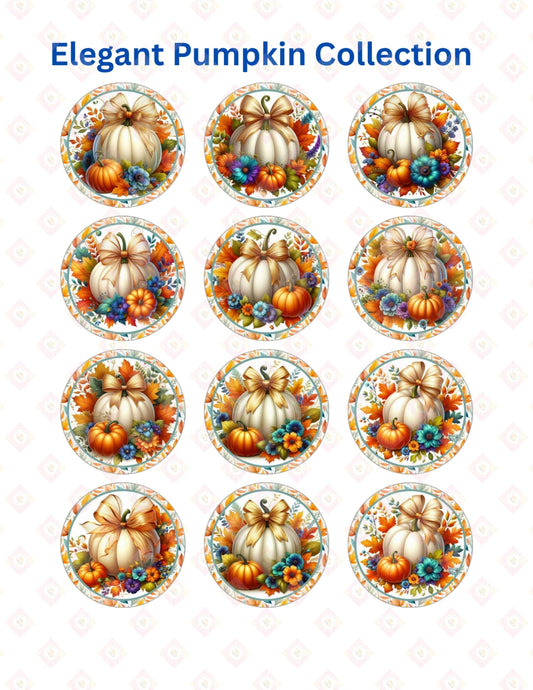 Elegant pumkin collection