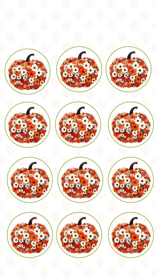 Daisy Pumpkin Collection