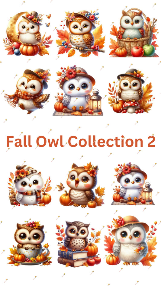 Fall Owl Collection