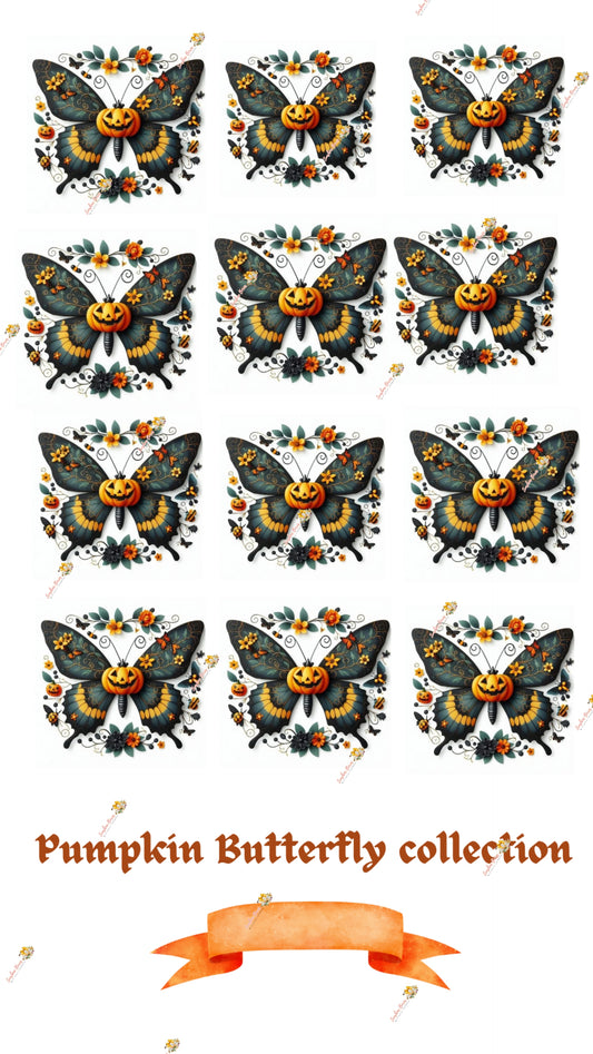 Pumpkin Butterfly collection