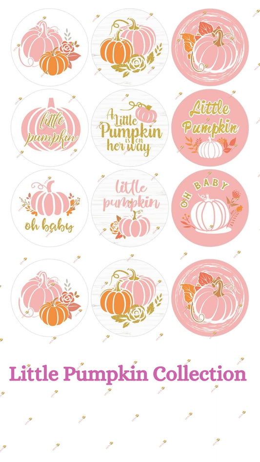 Little Pumpkin Collection