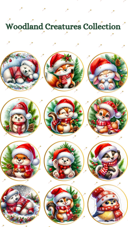 Woodland Creatures Collection