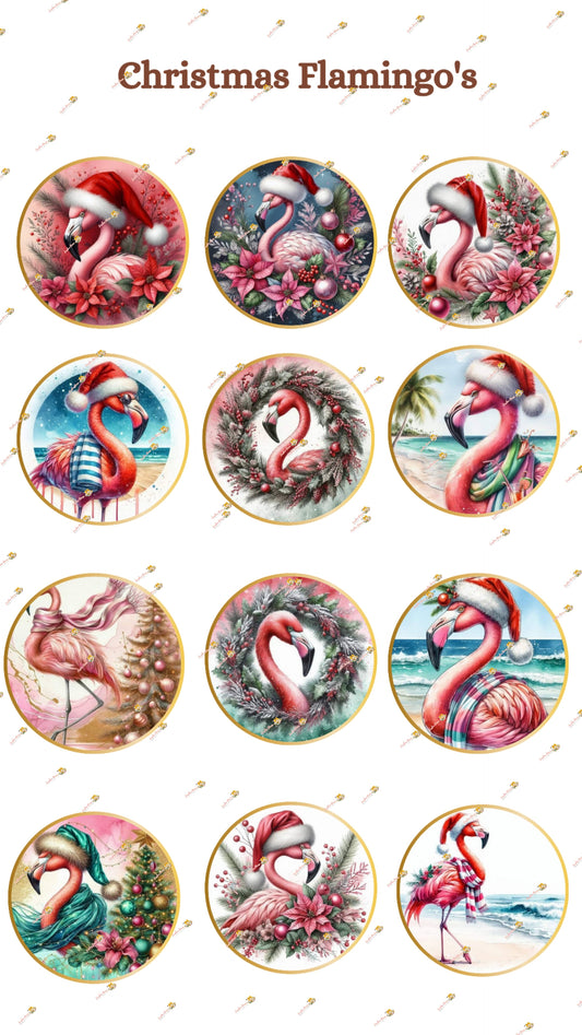 Christmas Flamingo's