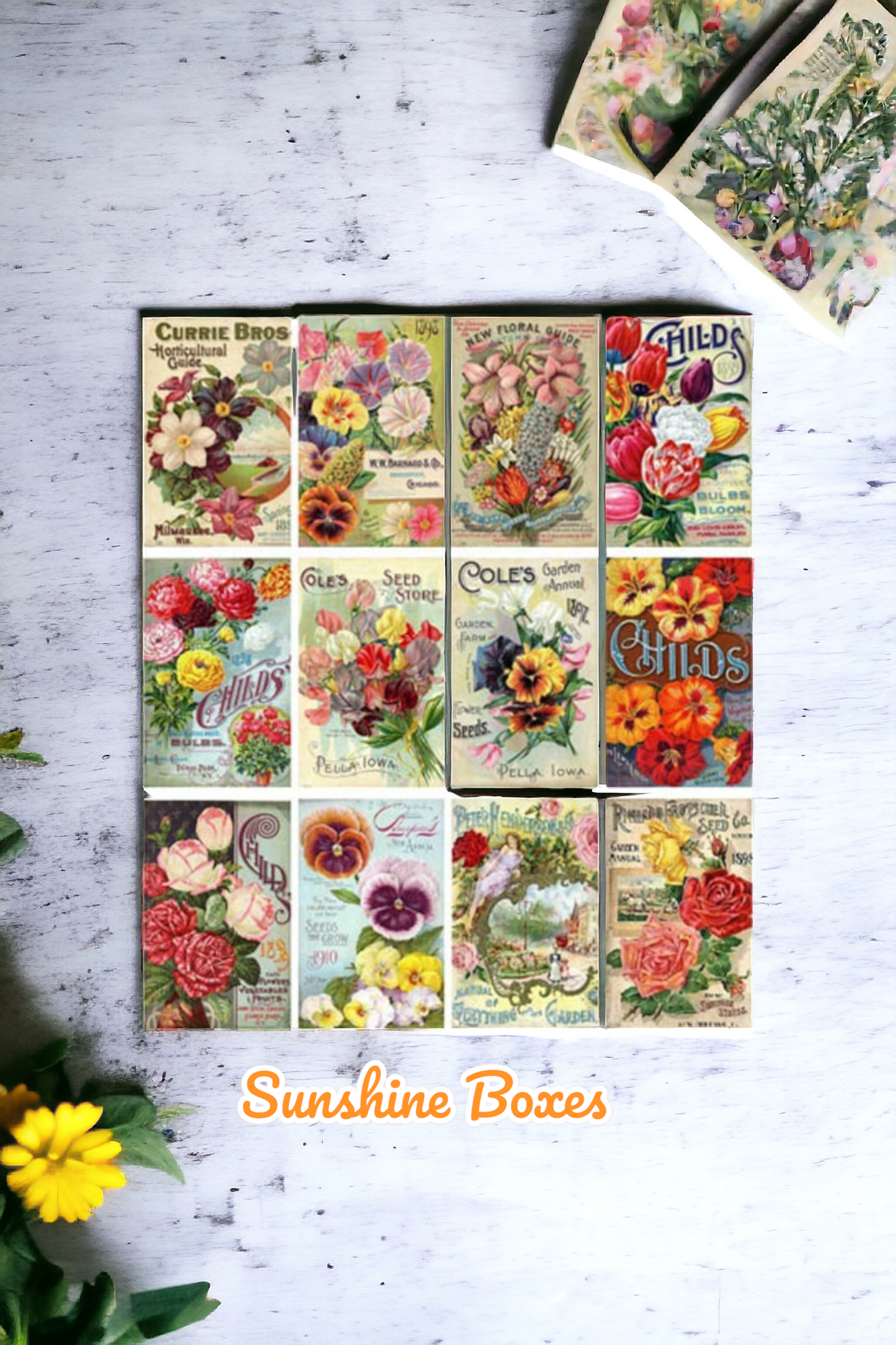 Vintage Floral Seed Packet Oreo Toppers