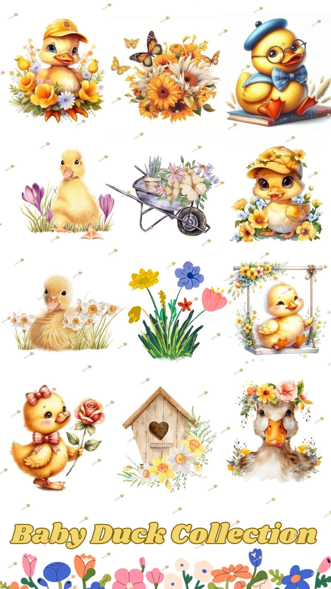 Baby Duck Collection - Sunshine Boxes