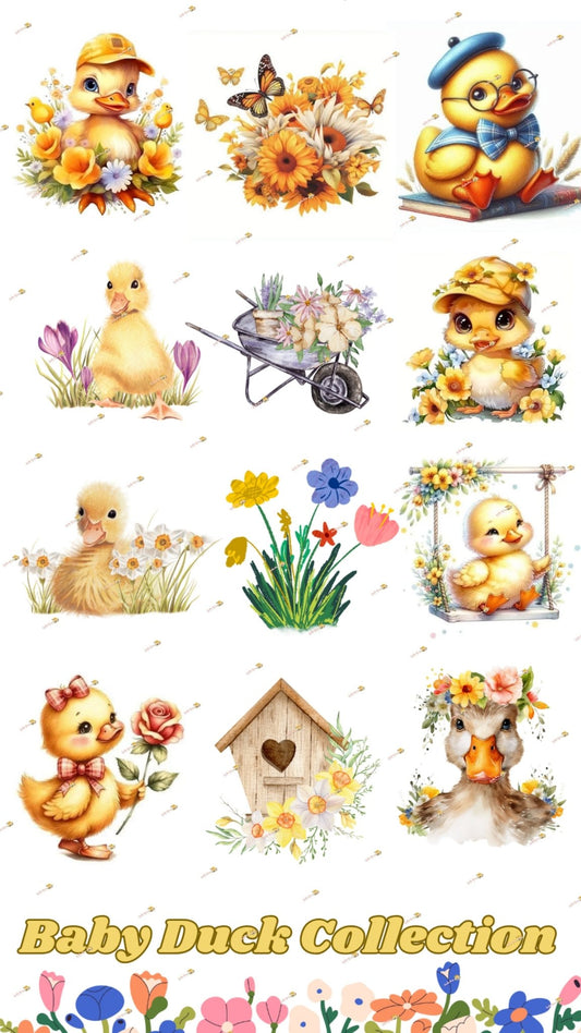 Baby Duck Collection - Sunshine Boxes