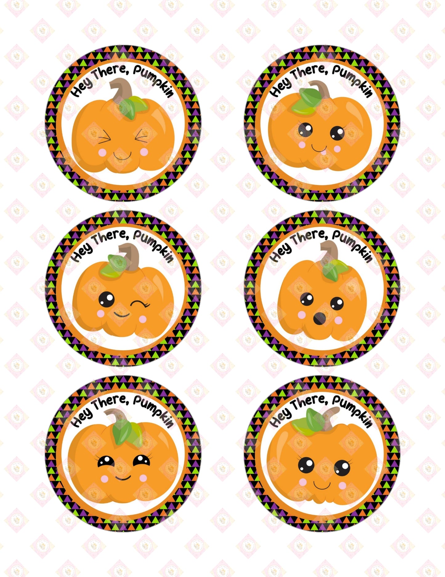 Pumpkin Collection