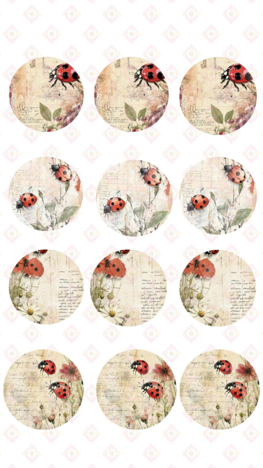 Ladybug Collection