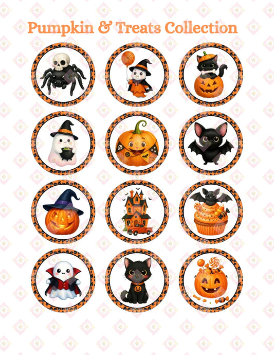 Pumpkin and treats collection