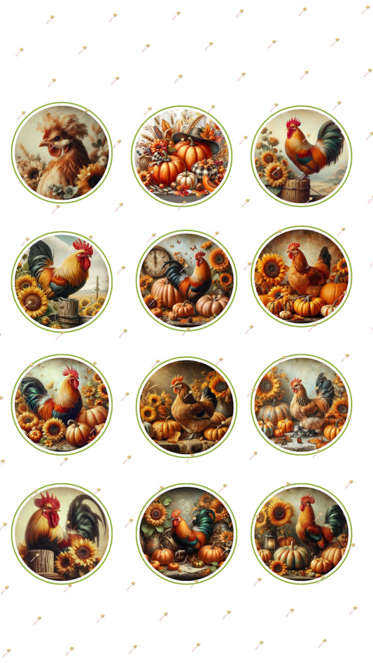 Fall Farm Collection