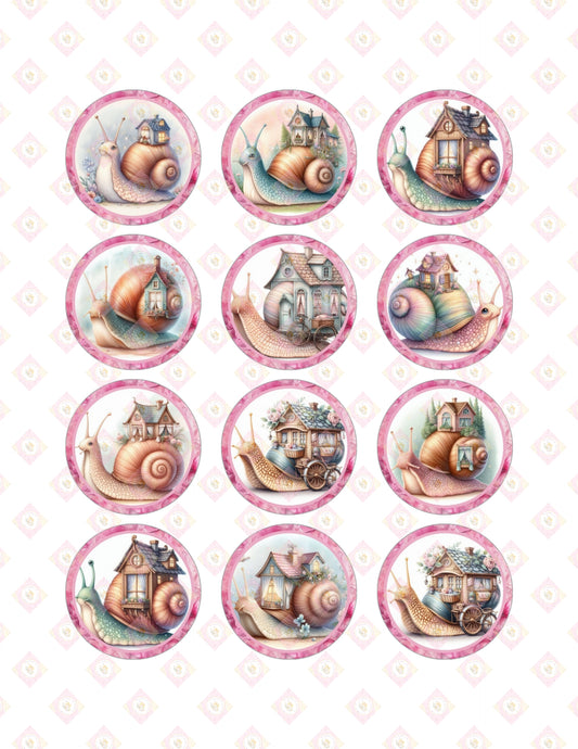 Snail Castle Collection
