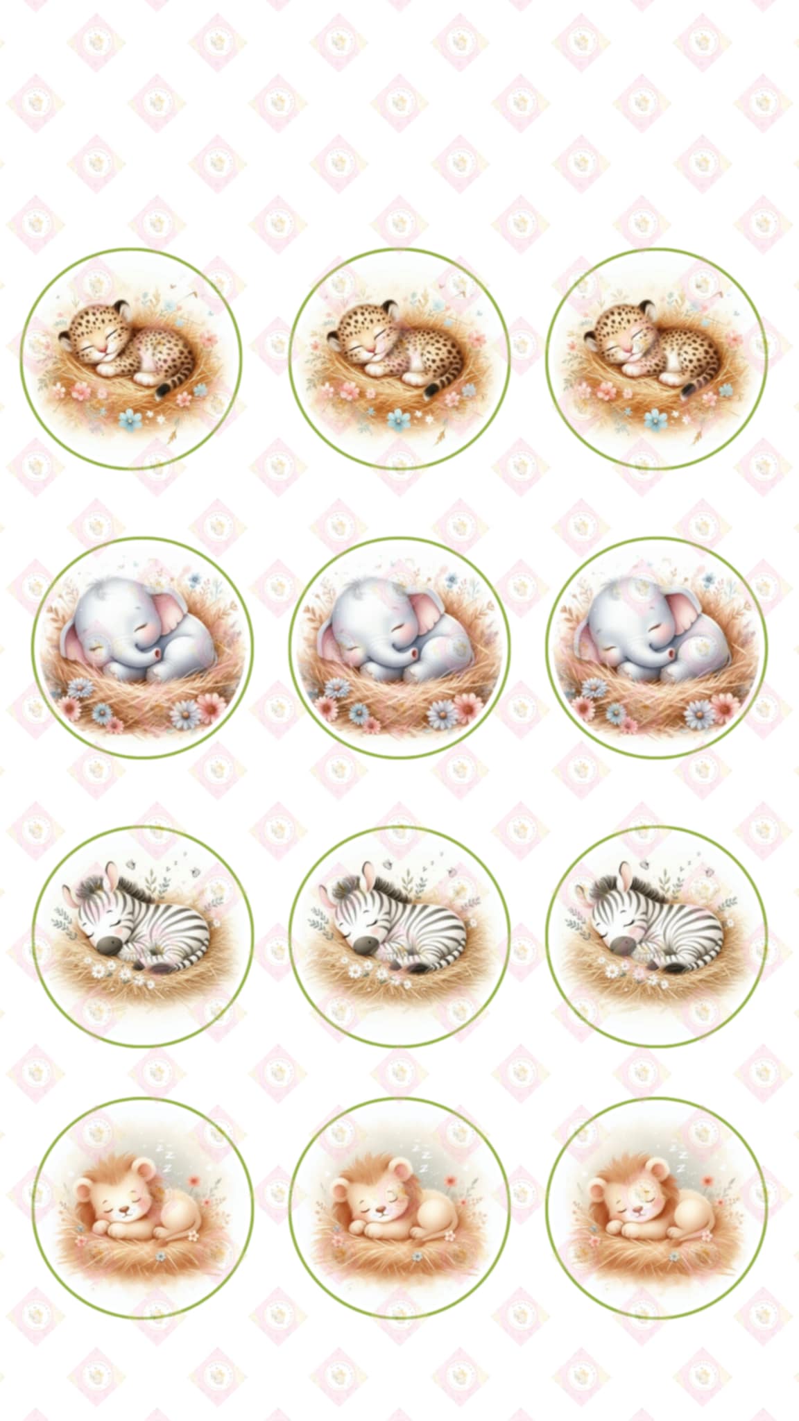 Little Animal Collection