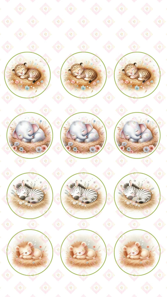 Little Animal Collection