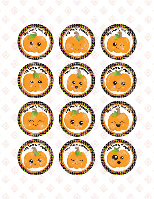 Pumpkin Collection