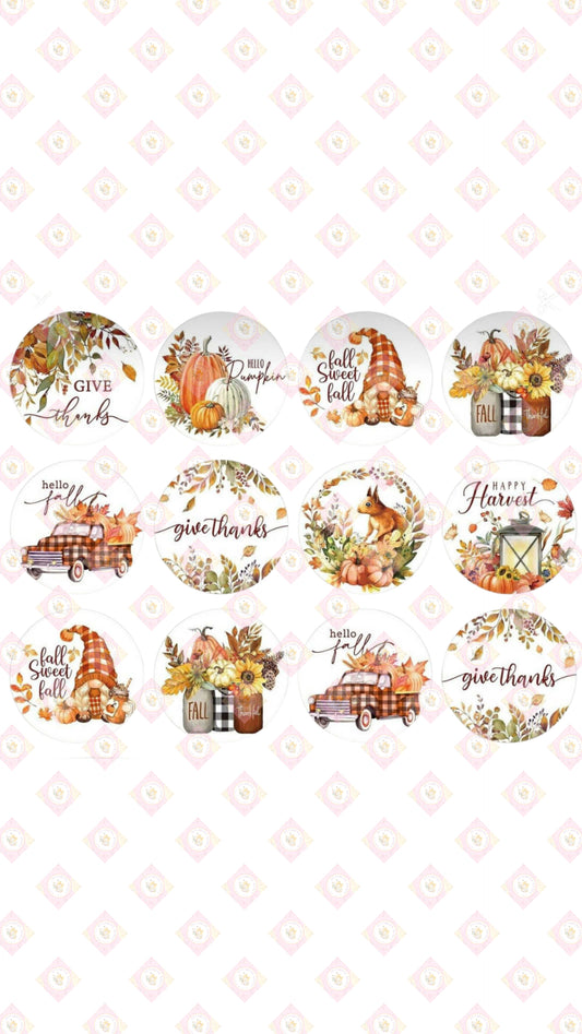 Happy Harvest Collection