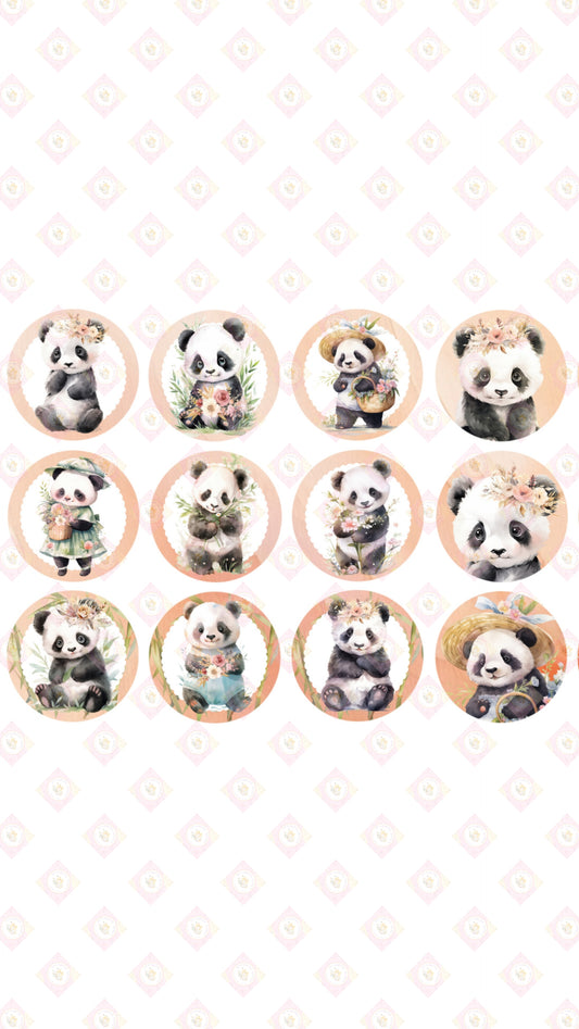 Panda Baby Collection