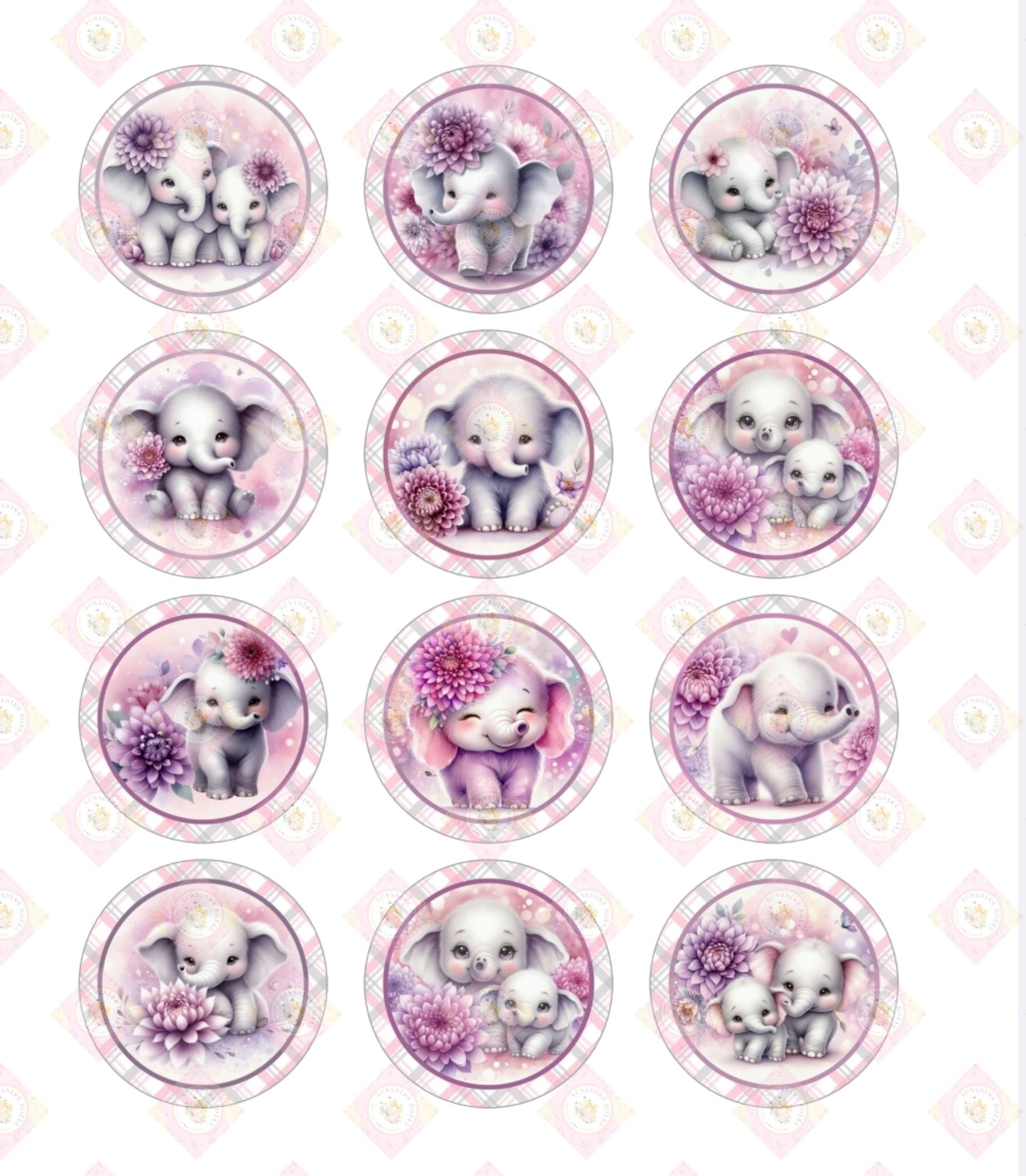 Baby Elephant Collection