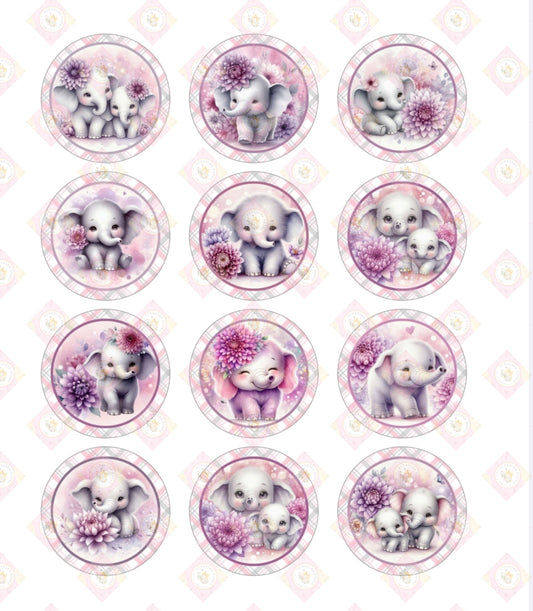 Baby Elephant Collection