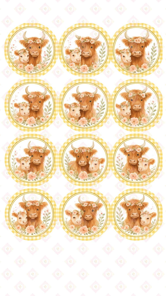 Moo Cow Collection