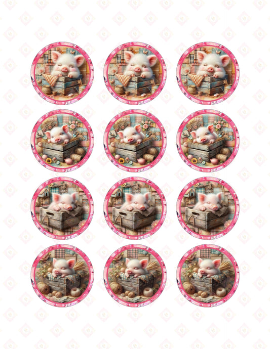 Piggy Box Collection