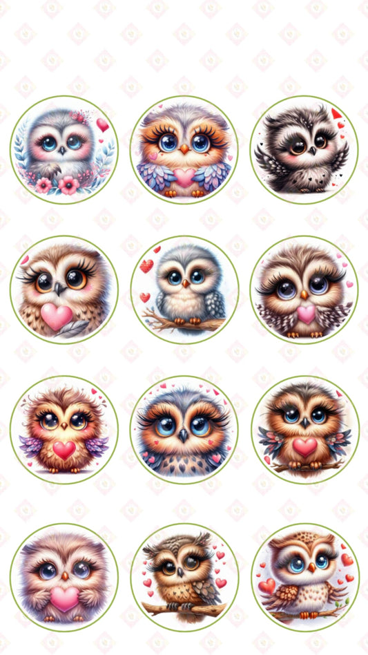 Owl Collection