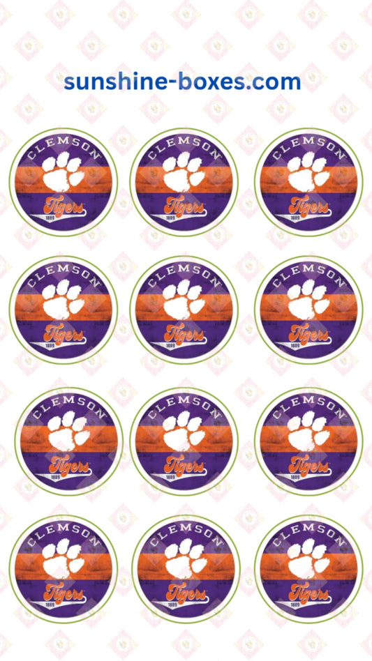Clemson Collection