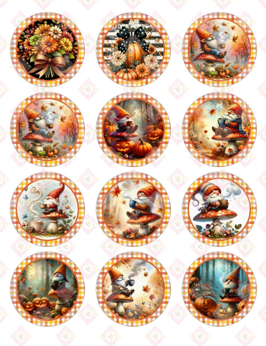 Fall Gnome Collection 2