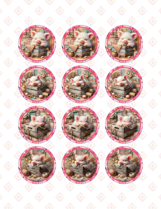 Piggy Collection