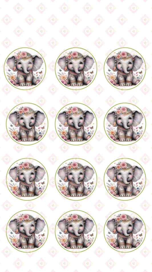 Elephant Collection