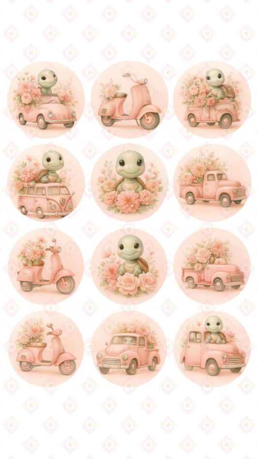 Pink Turtle Collection