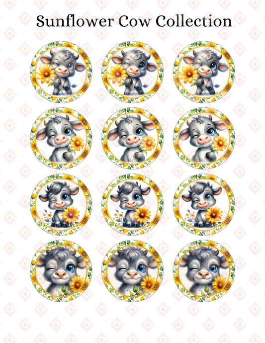 Sunflower Cows Collection