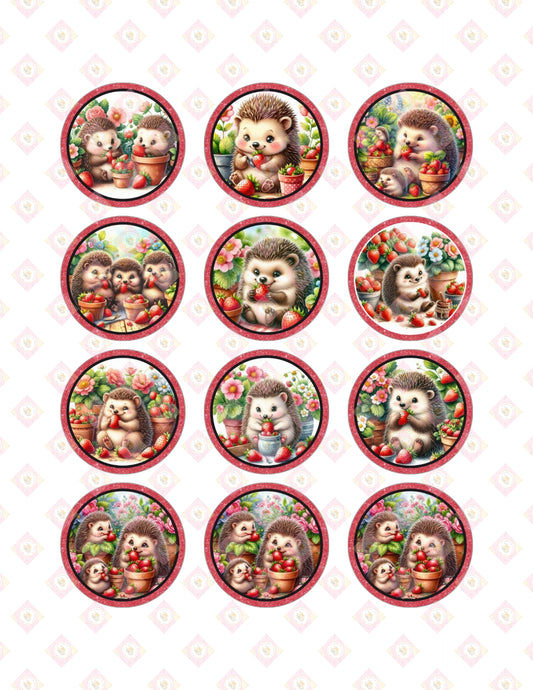 Strawberry Crunch Collection