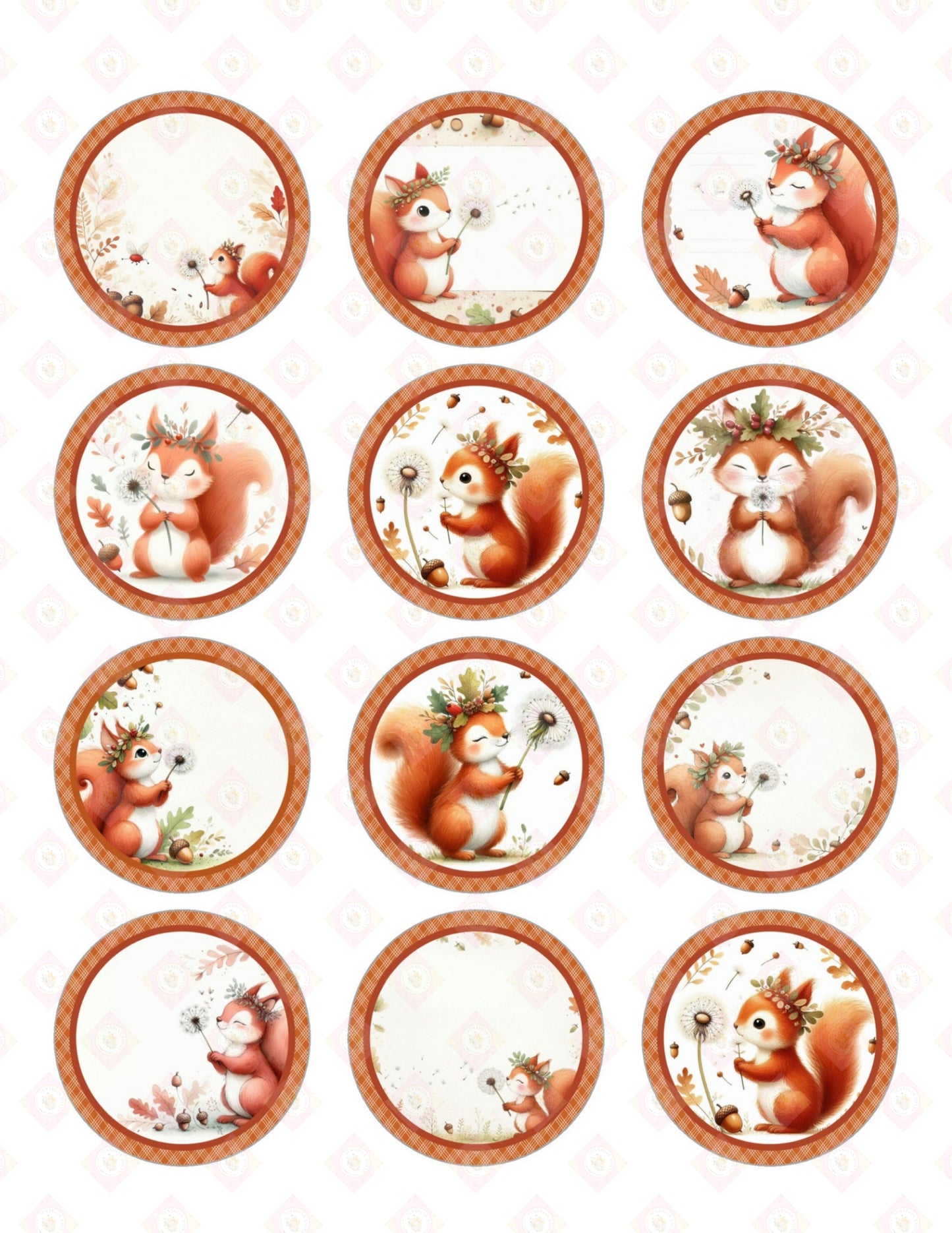 Red Squirrel Collection