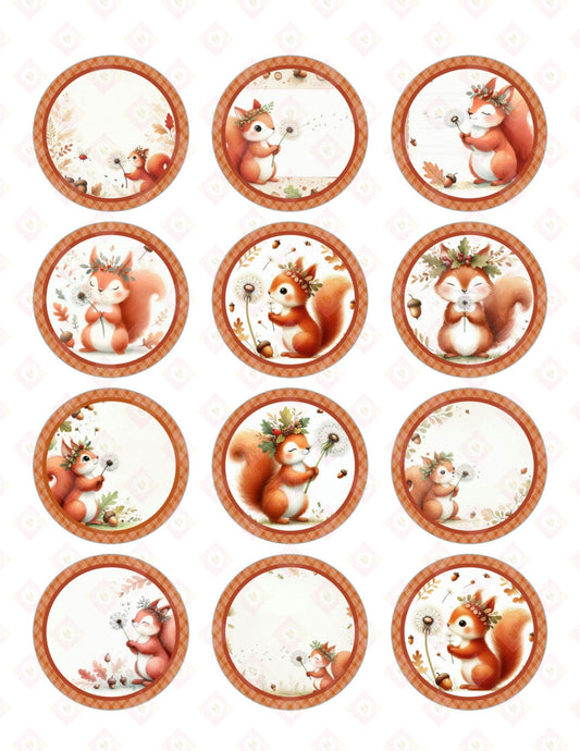 Red Squirrel Collection