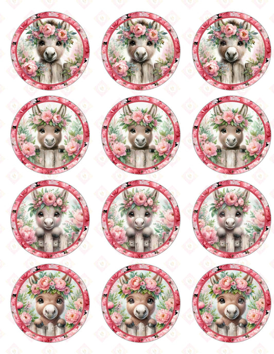 Donkey and Flowers Collection