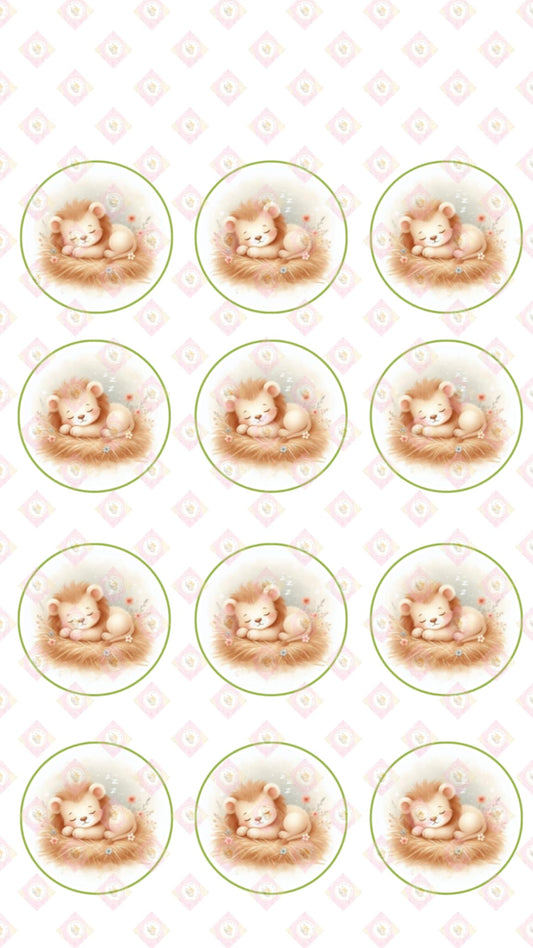 Baby Lion Collection