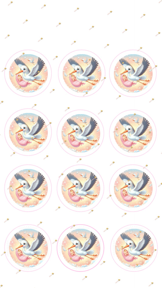 Little Lady on The Way